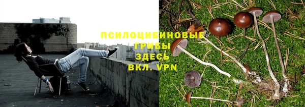 гашишное масло Нефтекумск