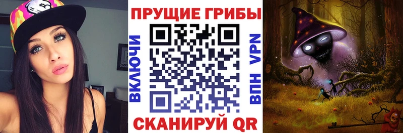 купить наркотик  blacksprut ONION  это телеграм  Новая Ляля  Галлюциногенные грибы Cubensis 